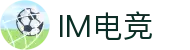IM(股份有限公司)电竞-电子竞技平台